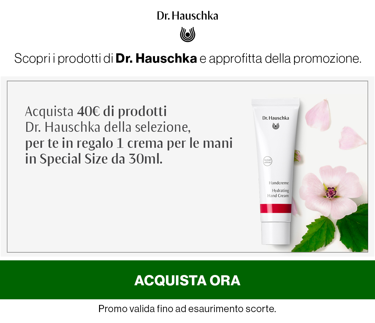 Acquista 40e di prodotti Dr, Hauschka per te in regalo 1 crema per le mani in Special Size da 30ml